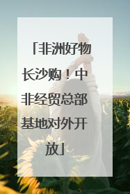 非洲好物长沙购！中非经贸总部基地对外开放
