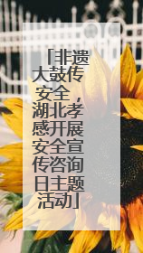 非遗大鼓传安全，湖北孝感开展安全宣传咨询日主题活动