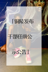 铜陵发布干部任前公示公告