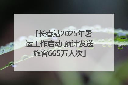 长春站2025年暑运工作启动 预计发送旅客665万人次