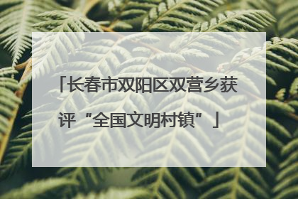 长春市双阳区双营乡获评“全国文明村镇”