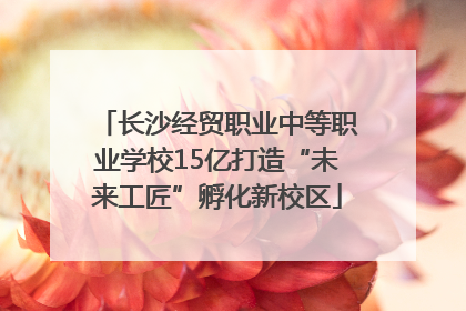 长沙经贸职业中等职业学校15亿打造“未来工匠”孵化新校区