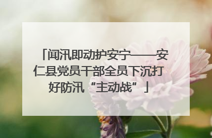 闻汛即动护安宁——安仁县党员干部全员下沉打好防汛“主动战”