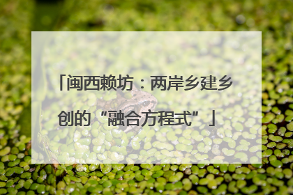 闽西赖坊：两岸乡建乡创的“融合方程式”