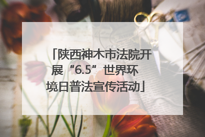 陕西神木市法院开展“6.5”世界环境日普法宣传活动