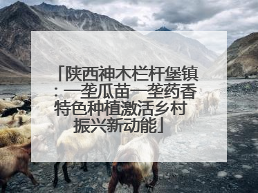 陕西神木栏杆堡镇：一垄瓜苗一垄药香 特色种植激活乡村振兴新动能