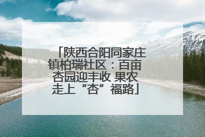 陕西合阳同家庄镇柏瑞社区：百亩杏园迎丰收 果农走上“杏”福路