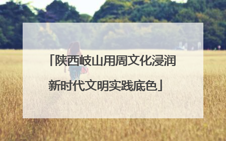 陕西岐山用周文化浸润新时代文明实践底色