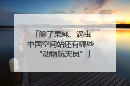 除了果蝇、涡虫 中国空间站还有哪些“动物航天员”