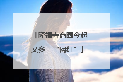 隆福寺商圈今起又多一“网红”