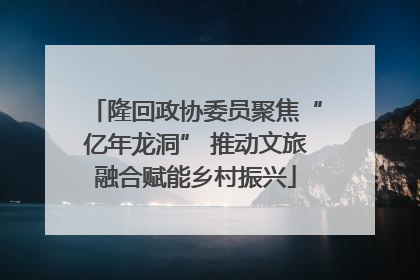 隆回政协委员聚焦“亿年龙洞” 推动文旅融合赋能乡村振兴