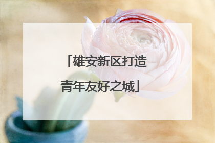 雄安新区打造青年友好之城