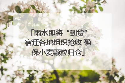 雨水即将“到货” 宿迁各地组织抢收 确保小麦颗粒归仓