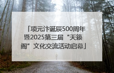 项元汴诞辰500周年暨2025第三届“天籁阁”文化交流活动启幕
