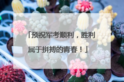 预祝军考顺利，胜利属于拼搏的青春！