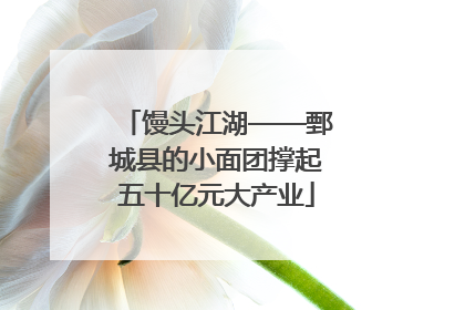 馒头江湖——鄄城县的小面团撑起五十亿元大产业