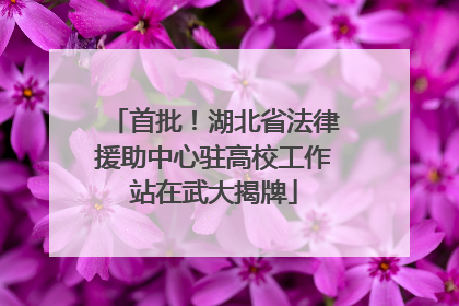 首批！湖北省法律援助中心驻高校工作站在武大揭牌