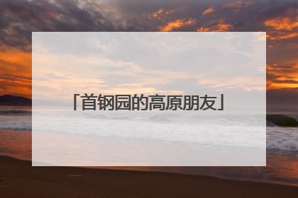 首钢园的高原朋友