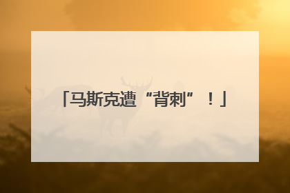 马斯克遭“背刺”！