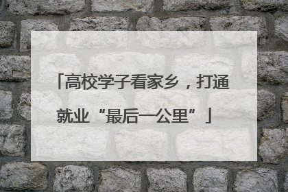 高校学子看家乡，打通就业“最后一公里”