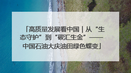 高质量发展看中国｜从“生态守护”到“碳汇生金”——中国石油大庆油田绿色蝶变