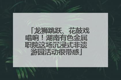 龙狮跳跃、花鼓戏唱响！湖南有色金属职院这场沉浸式非遗游园活动很带感