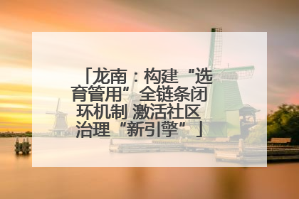 龙南：构建“选育管用”全链条闭环机制 激活社区治理“新引擎”