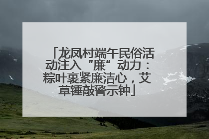 龙凤村端午民俗活动注入“廉”动力：粽叶裹紧廉洁心，艾草锤敲警示钟