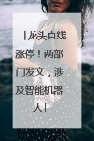 龙头直线涨停！两部门发文，涉及智能机器人