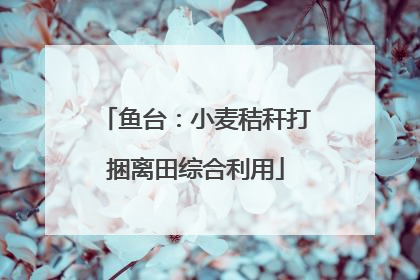鱼台：小麦秸秆打捆离田综合利用