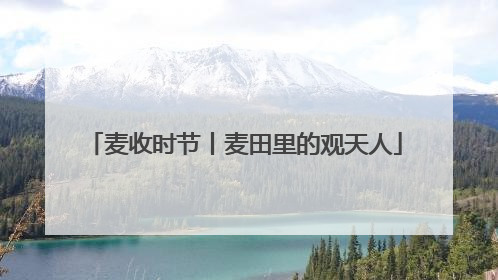 麦收时节丨麦田里的观天人