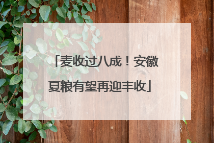 麦收过八成！安徽夏粮有望再迎丰收
