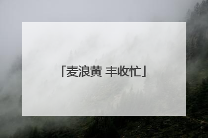 麦浪黄 丰收忙