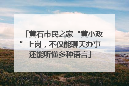 黄石市民之家“黄小政”上岗，不仅能聊天办事还能听懂多种语言