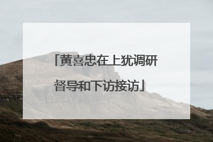 黄喜忠在上犹调研督导和下访接访