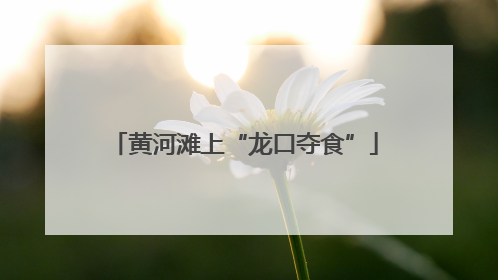 黄河滩上“龙口夺食”