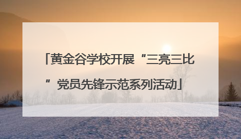 黄金谷学校开展“三亮三比”党员先锋示范系列活动