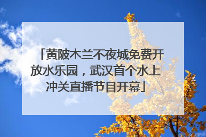 黄陂木兰不夜城免费开放水乐园，武汉首个水上冲关直播节目开幕
