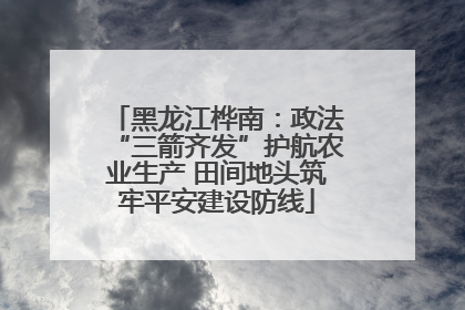 黑龙江桦南：政法“三箭齐发”护航农业生产 田间地头筑牢平安建设防线