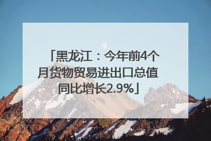黑龙江：今年前4个月货物贸易进出口总值同比增长2.9%