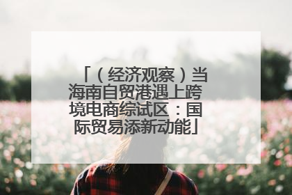 （经济观察）当海南自贸港遇上跨境电商综试区：国际贸易添新动能
