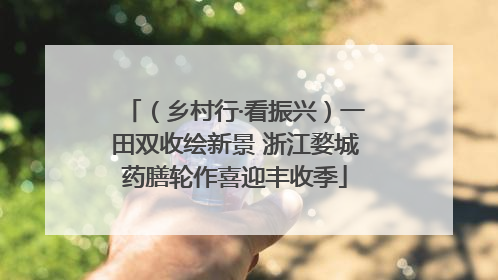 （乡村行·看振兴）一田双收绘新景 浙江婺城药膳轮作喜迎丰收季