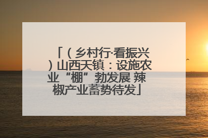 （乡村行·看振兴）山西天镇：设施农业“棚”勃发展 辣椒产业蓄势待发