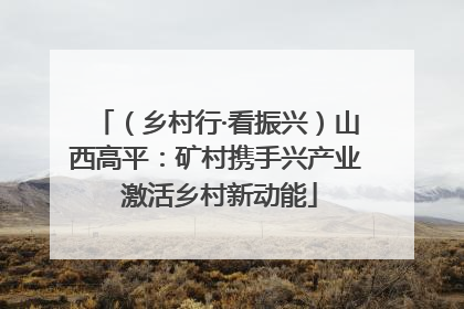 （乡村行·看振兴）山西高平：矿村携手兴产业 激活乡村新动能