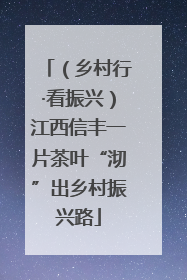 （乡村行·看振兴）江西信丰一片茶叶“沏”出乡村振兴路