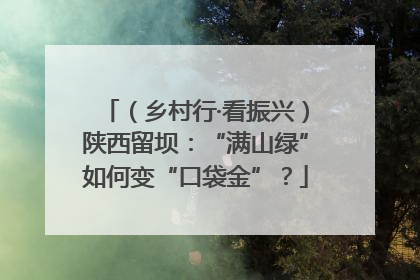 （乡村行·看振兴）陕西留坝：“满山绿”如何变“口袋金”？