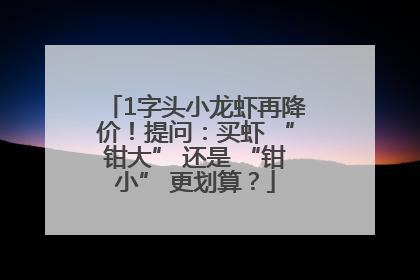 1字头小龙虾再降价！提问：买虾 “钳大” 还是 “钳小” 更划算？