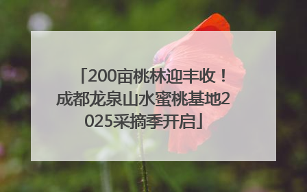 200亩桃林迎丰收！成都龙泉山水蜜桃基地2025采摘季开启