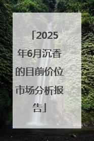 2025年6月沉香的目前价位市场分析报告