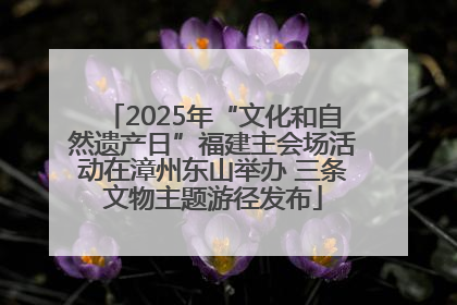 2025年“文化和自然遗产日”福建主会场活动在漳州东山举办 三条文物主题游径发布